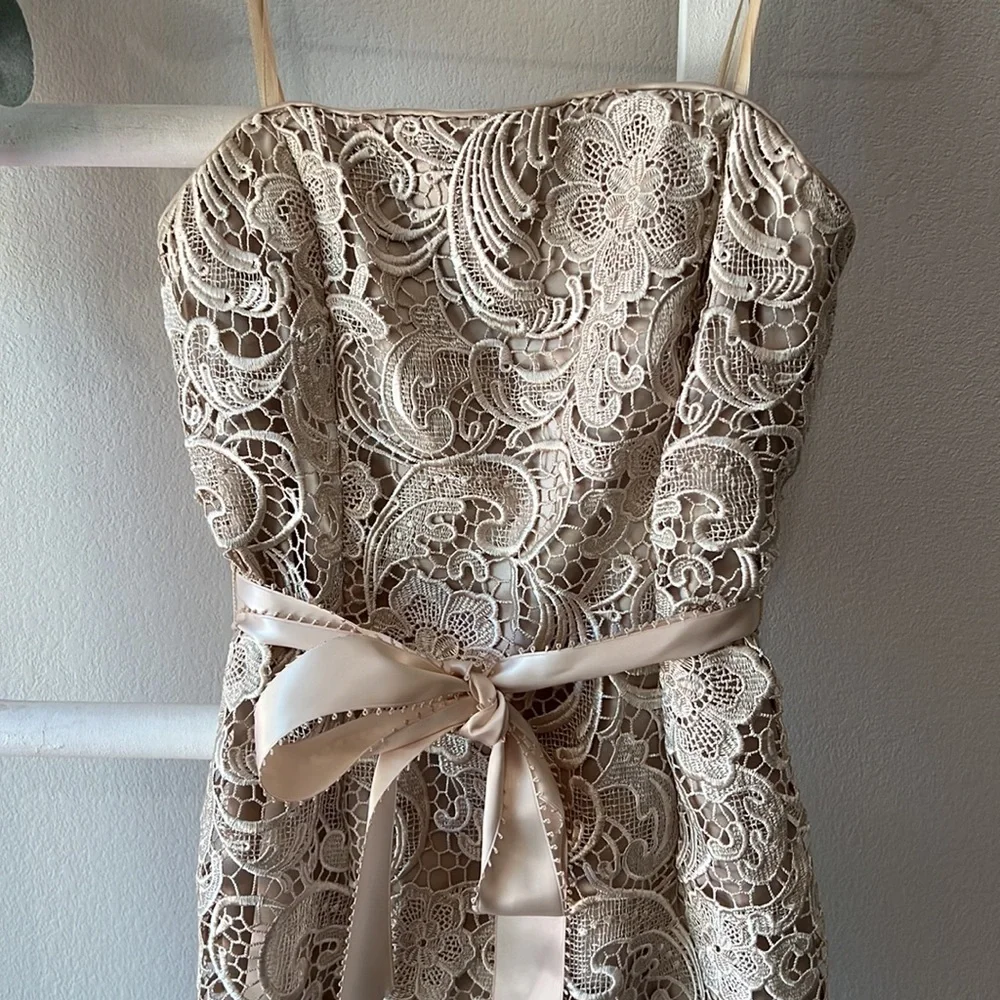 Adrianna Papell- Strapless, Laced Cocktail Dress- Sz 4 - Picture 5 of 8